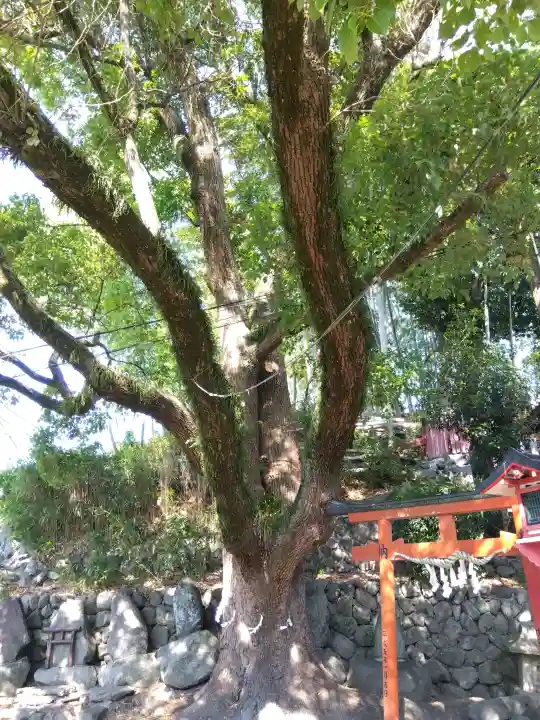 瓢箪山稲荷神社(大阪府)