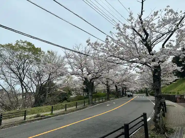 人とペットのお寺仙光院(神奈川県)