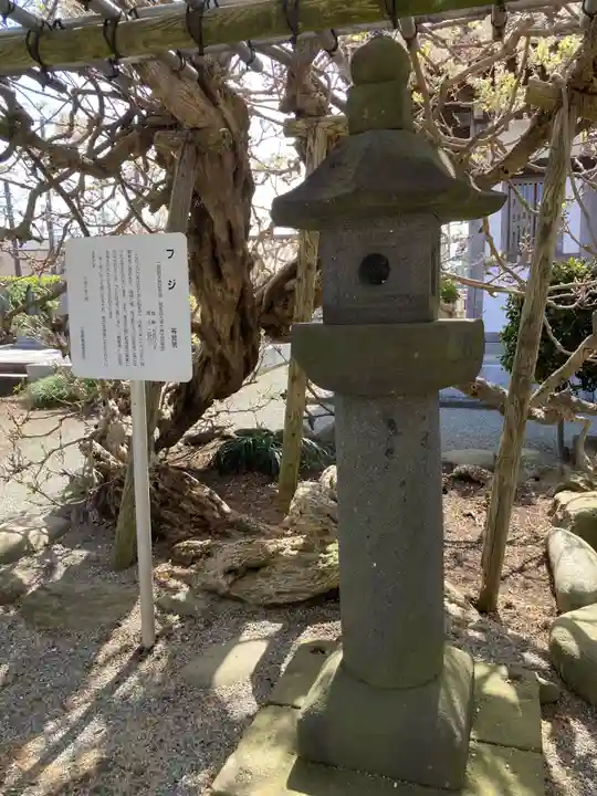 等覚院(藤巻寺)(神奈川県)