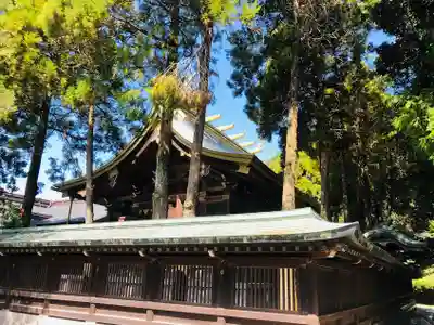 宮地嶽神社の本殿・本堂