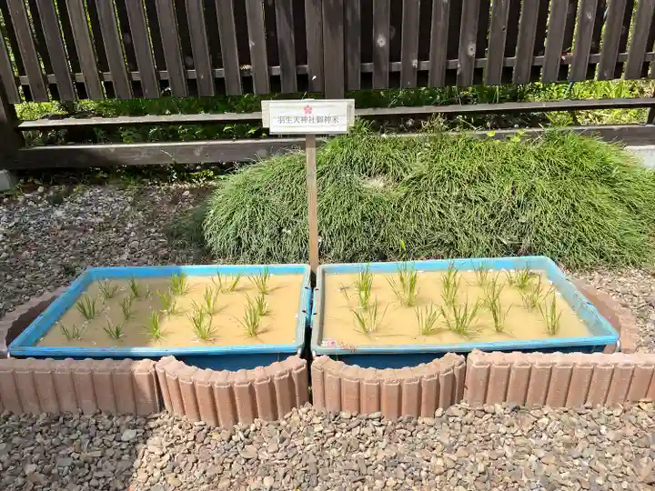 羽生天神社(宮城県)