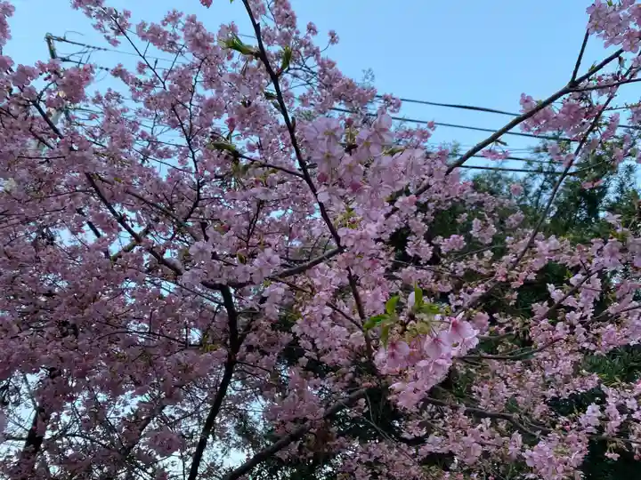 井伊谷宮の自然