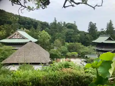龍隠庵(神奈川県)