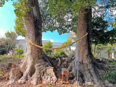 細江神社(静岡県)