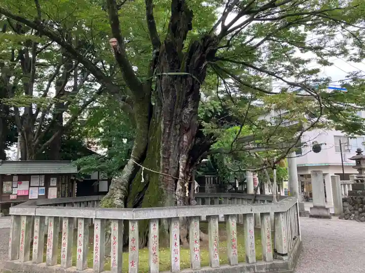 高城神社(埼玉県)