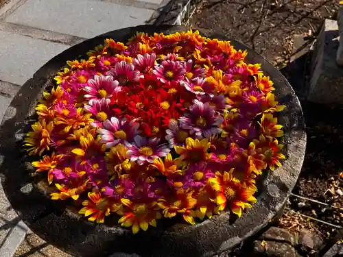 真言宗　善通寺派　薬王寺(香川県)