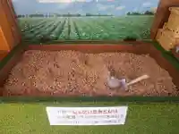 浦幌神社・乳神神社のおみくじ