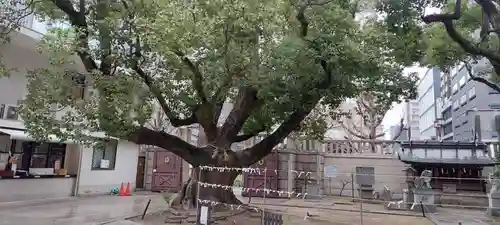 難波神社(大阪府)