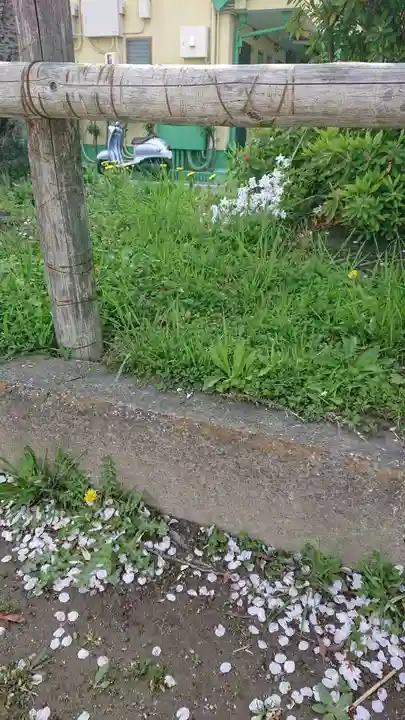 尾張大國霊神社(国府宮)の自然