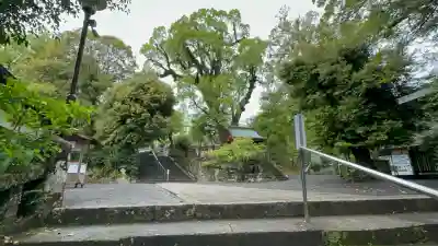 鹿児島神宮(鹿児島県)