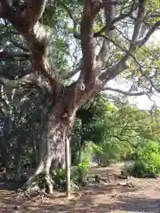 三熊神社の自然