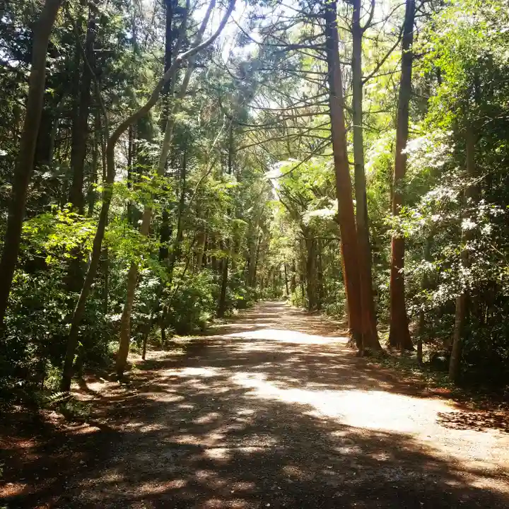 鹿島神宮の自然