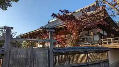 大覚寺(京都府)