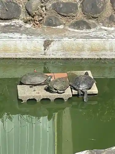 粟島神社(東京都)