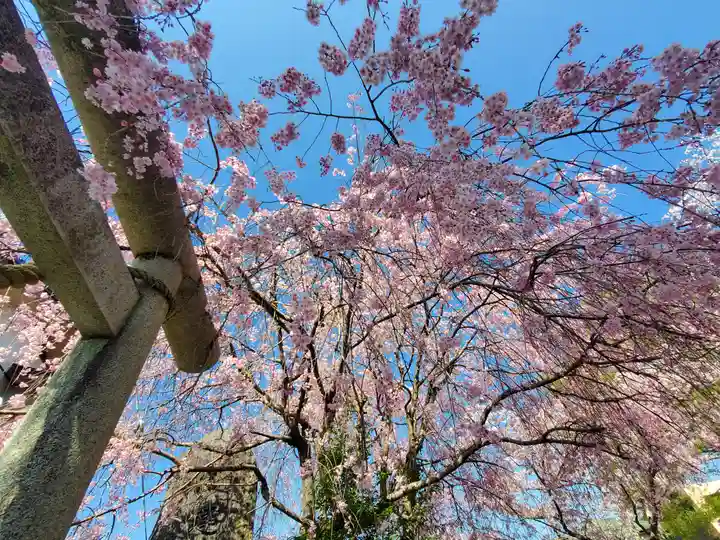 日限富士浅間神社(栃木県)