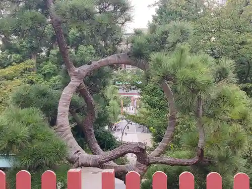 清水観音堂(東京都)