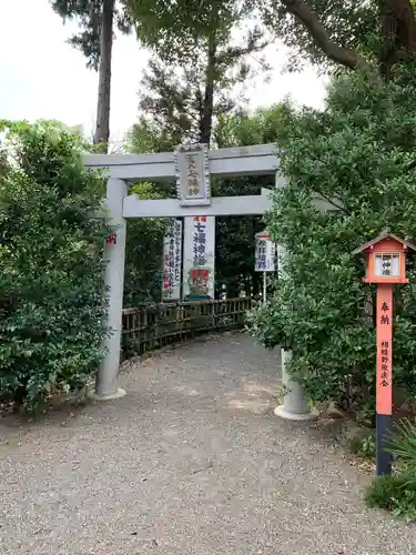 亀ケ池八幡宮の鳥居