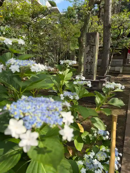 白金氷川神社(東京都)