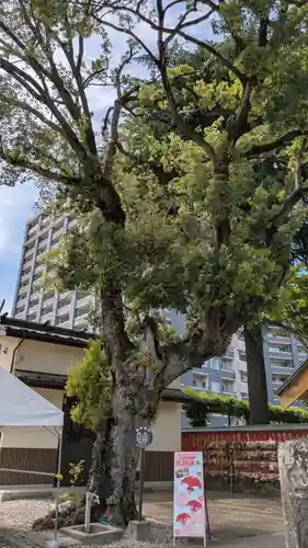 榴岡天満宮(宮城県)