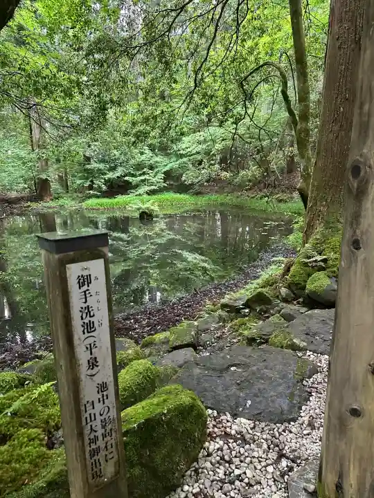 平泉寺白山神社(福井県)