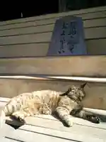 光明寺の動物