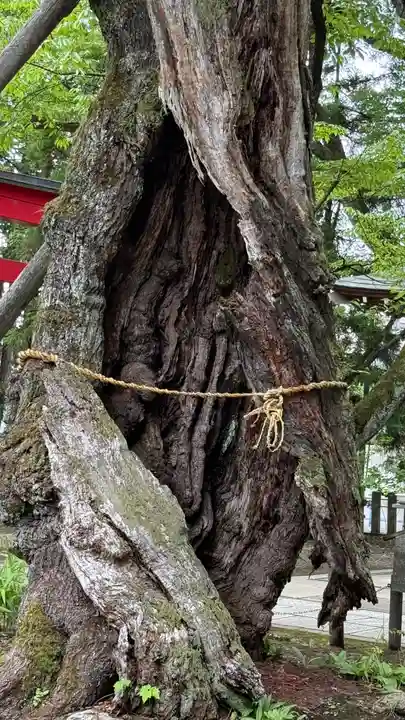 蠶養國神社(福島県)