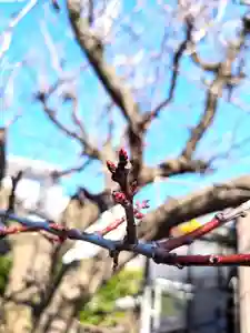 七重浜海津見神社(北海道)(2026年04月09日(木) 08時08分04秒投稿)