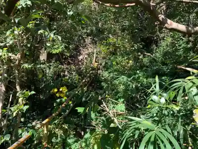 浅間神社の周辺