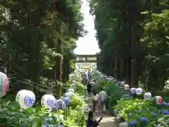 磯山神社の自然