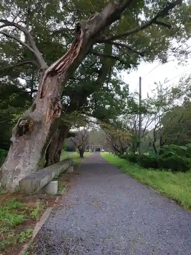 金村別雷神社のその他建物