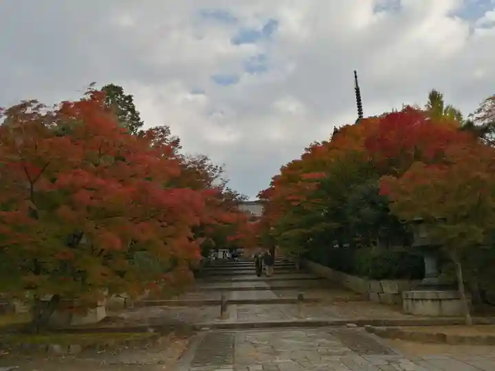 真正極楽寺(真如堂)の景色