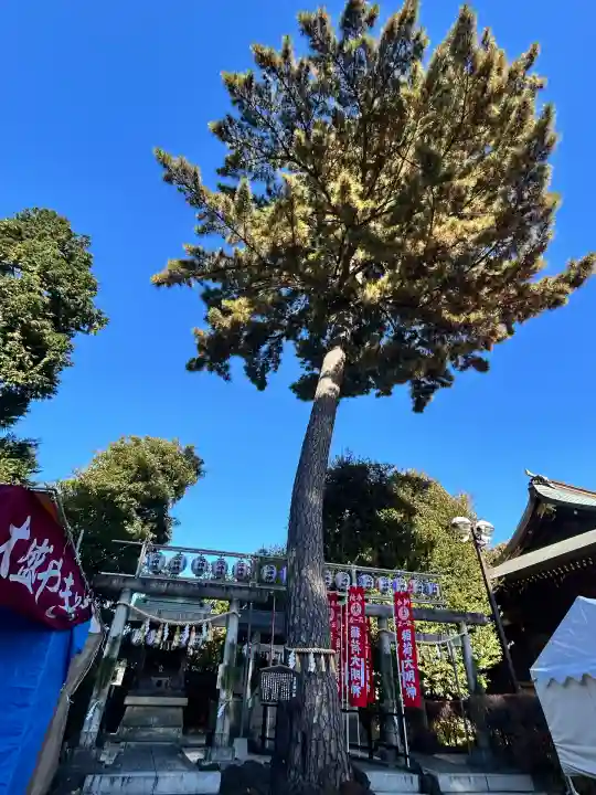 中野沼袋氷川神社(東京都)