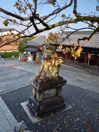 清水寺の狛犬