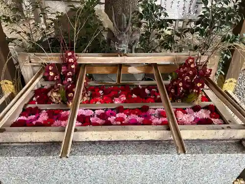 東京大神宮(東京都)