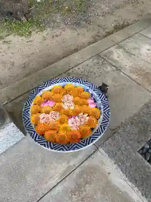 都波岐奈加等神社の手水舎