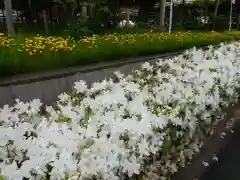 曼陀羅寺(愛知県)