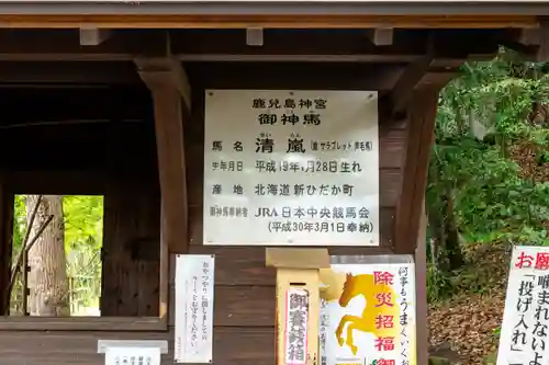 鹿児島神宮(鹿児島県)