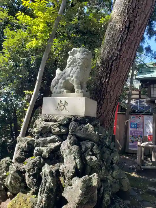 菟橋神社の狛犬