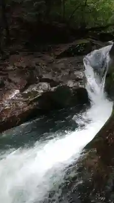 龍鎮神社の周辺