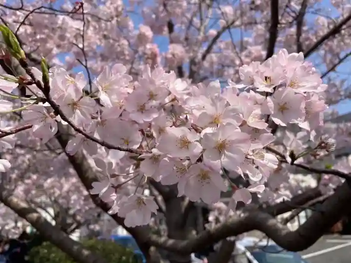 弘明寺(神奈川県)