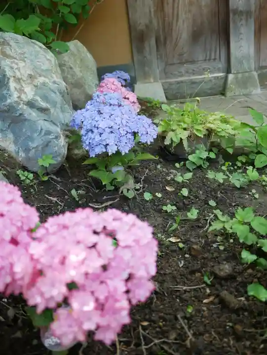 青龍山 吉祥寺(群馬県)