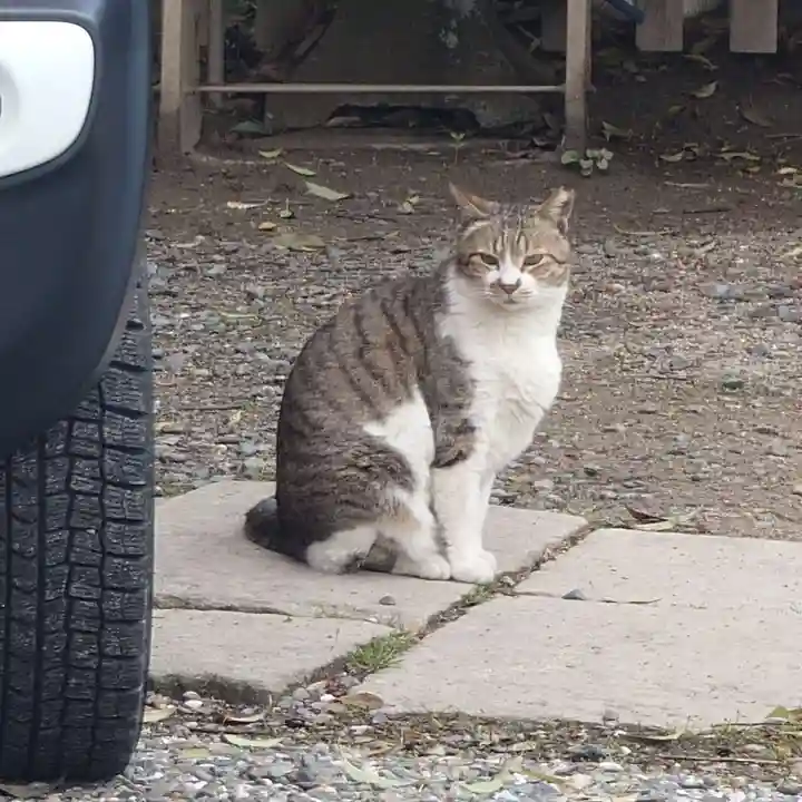 阿邪訶根神社(福島県)