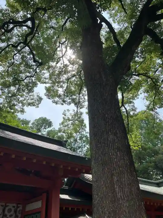 武蔵一宮氷川神社(埼玉県)