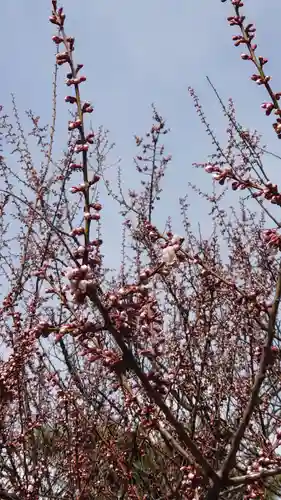 相馬神社(北海道)