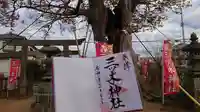 三ツ木神社の御朱印