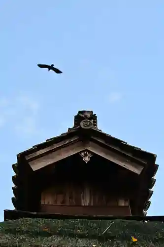 禅蔵寺(愛媛県)