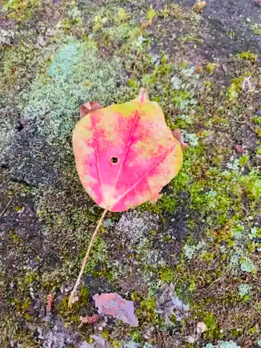 土津神社｜こどもと出世の神さまの自然