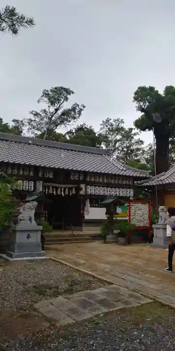 羽束師坐高御産日神社の本殿・本堂
