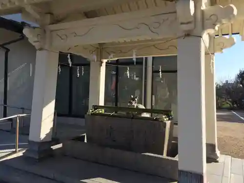 柿本神社の手水舎