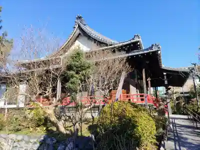 道仁寺の本殿・本堂